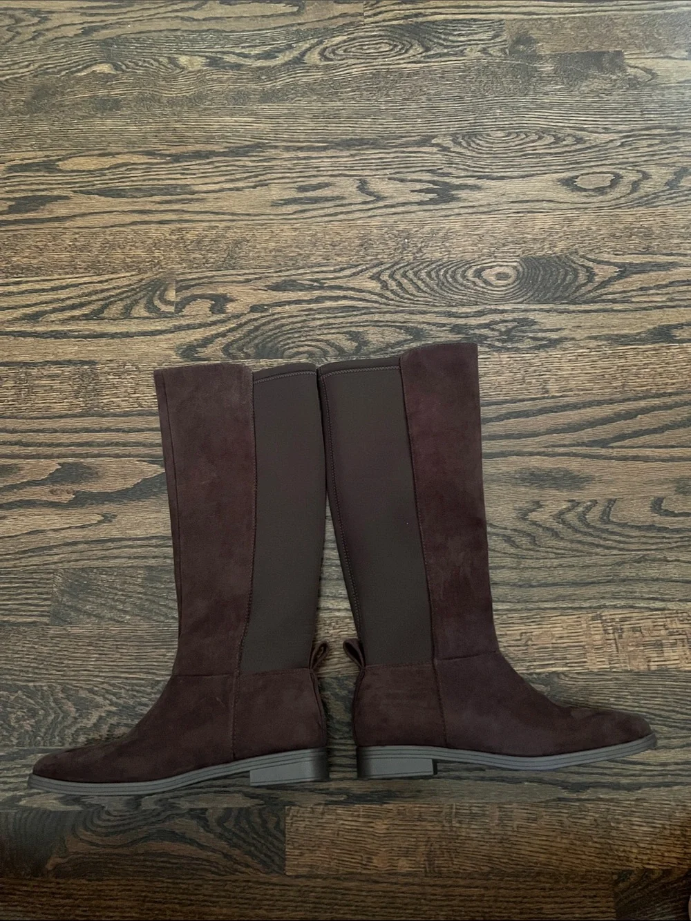 Splendid Marise tall suede boots in spice